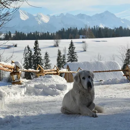 Homestay Ku Sosnie Bukowina Tatrzanska